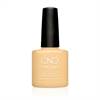 SMALTO SEMIPERMANENTE SHELLAC Vagabond